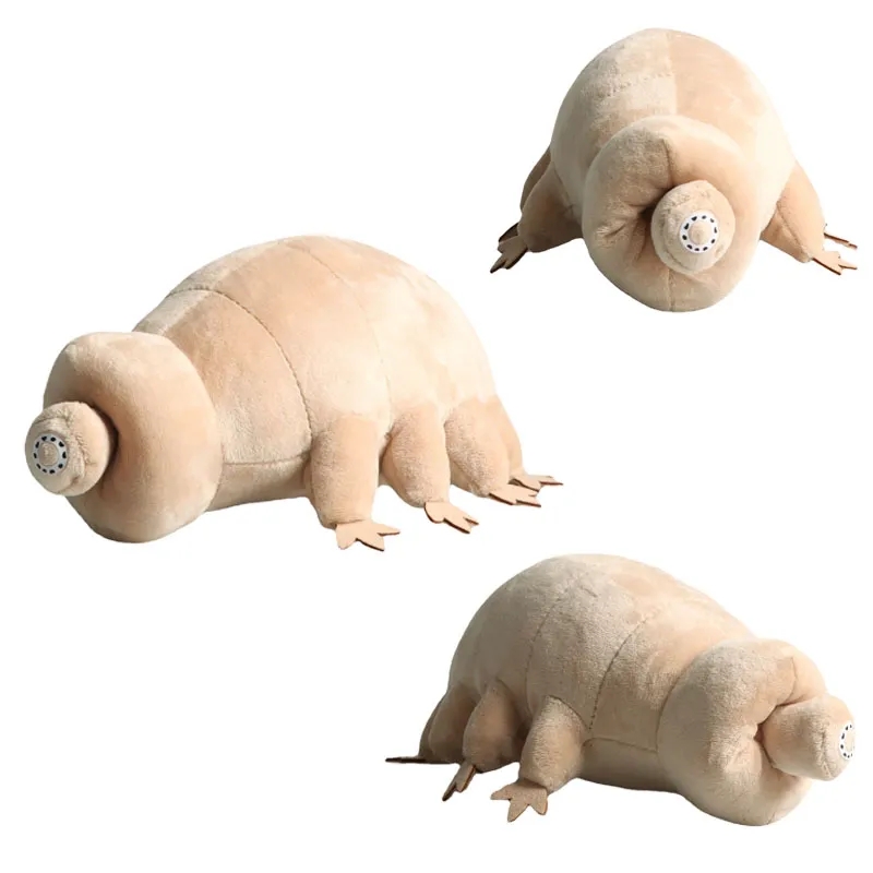 Kids Education Movies - 25 cm Wasserbär Tardigrade Plüschtier Weiche