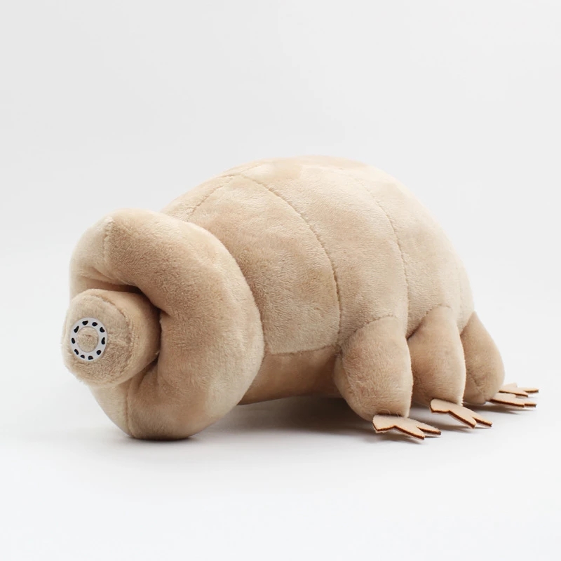 25 cm Wasserbär Tardigrade Plü – Kids Education Movies Bewertung und Preis