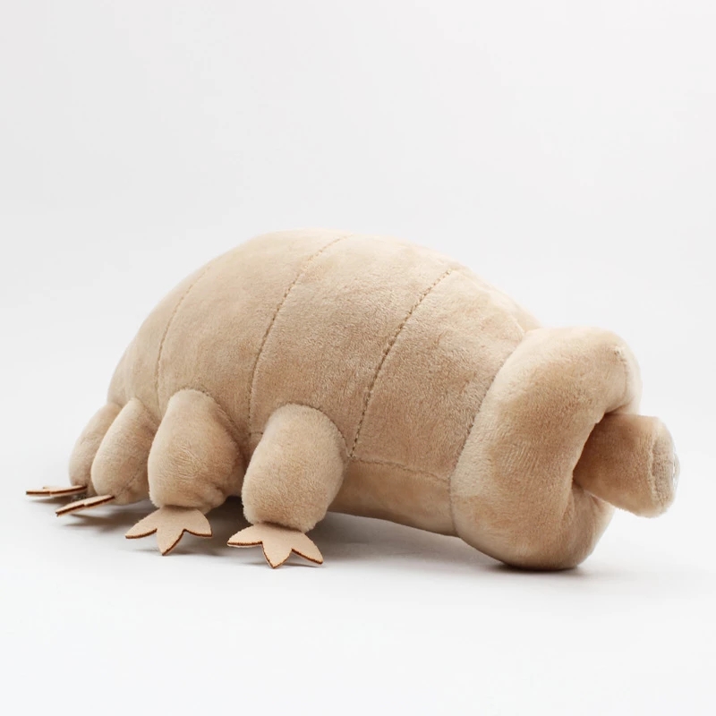 25 cm Wasserbär Tardigrade Plü – Kids Education Movies Bewertung und Preis