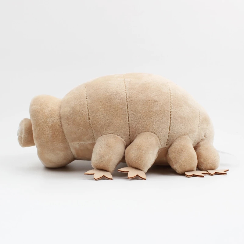 25 cm Wasserbär Tardigrade Plü – Kids Education Movies Bewertung und Preis