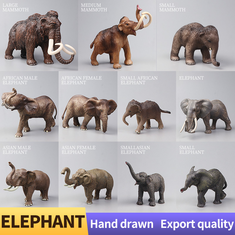 Afrikanische Wildtiere Großer  – Kids Education Movies Bewertung und Preis