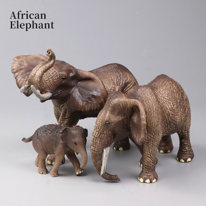 Afrikanische Wildtiere Großer  – Kids Education Movies Bewertung und Preis