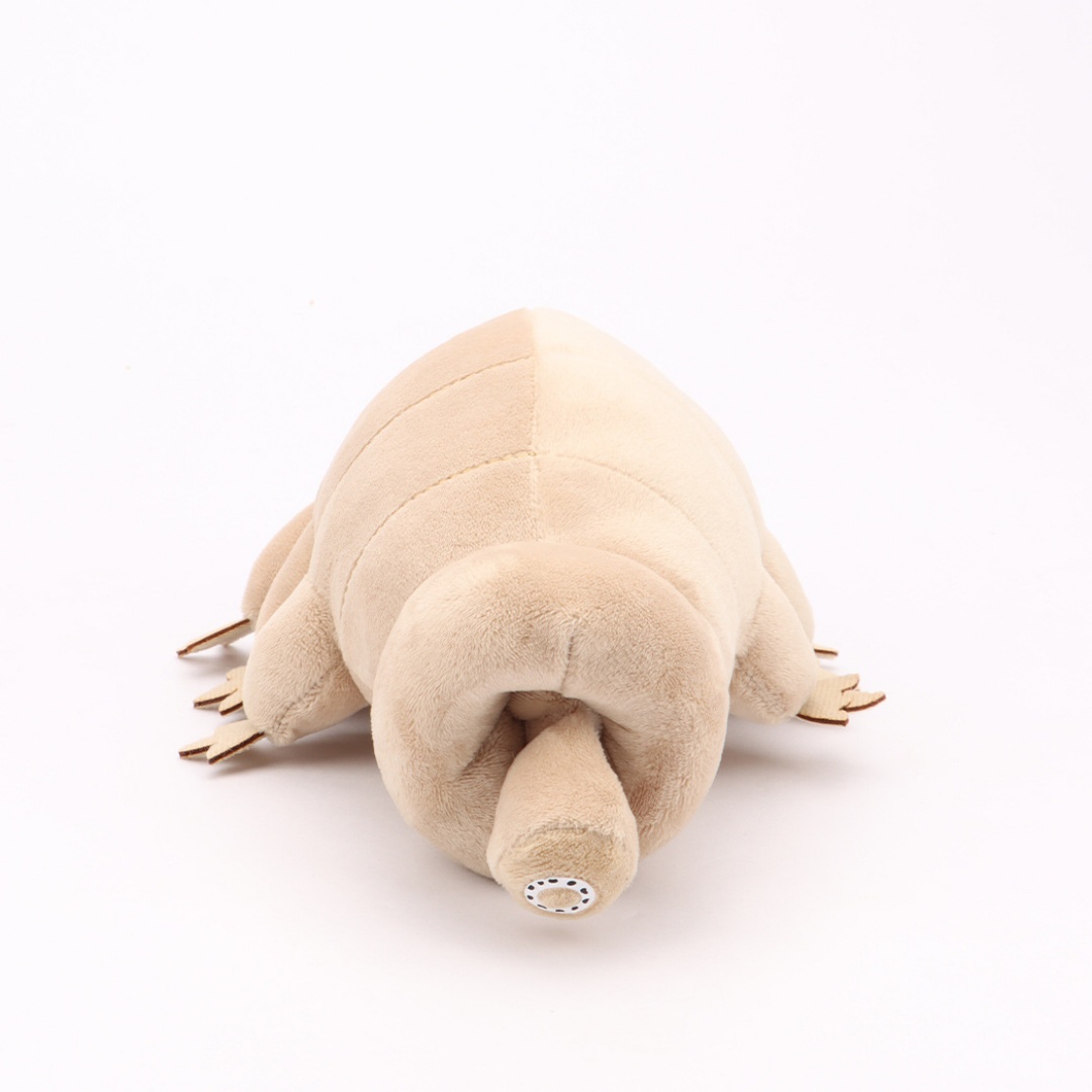 Wasserbär Tardigrade Plüschtie – Kids Education Movies Bewertung und Preis