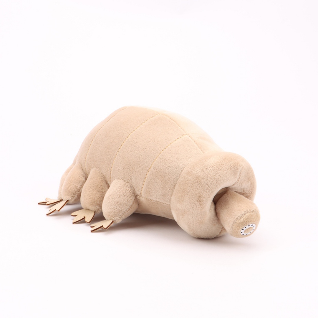 Wasserbär Tardigrade Plüschtie – Kids Education Movies Bewertung und Preis